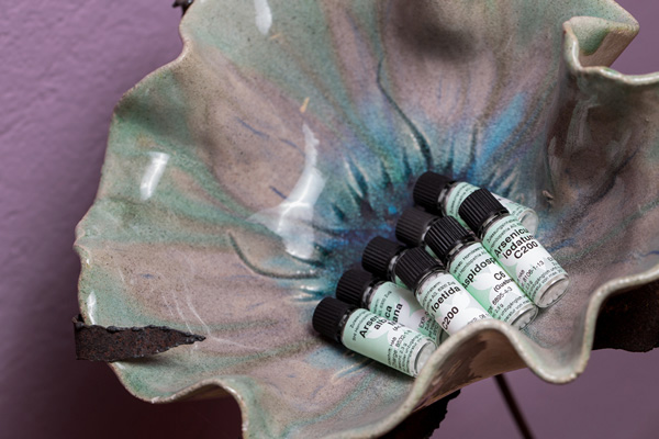 Homöopathie Behandlung Ähnlichkeitsprinzip, Potenzieren Erklärung